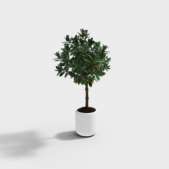 Vibrant Indoor Plant 3D Model for Creative Spaces