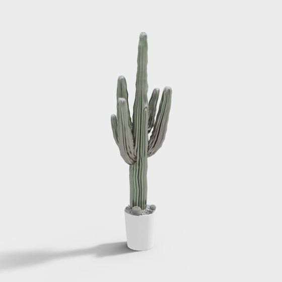 Realistic Cactus 3D Model for Creative Projects