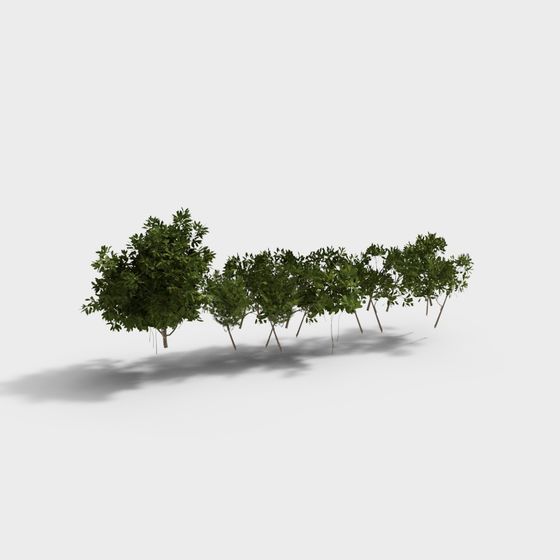 Vibrant Forest Path 3D model