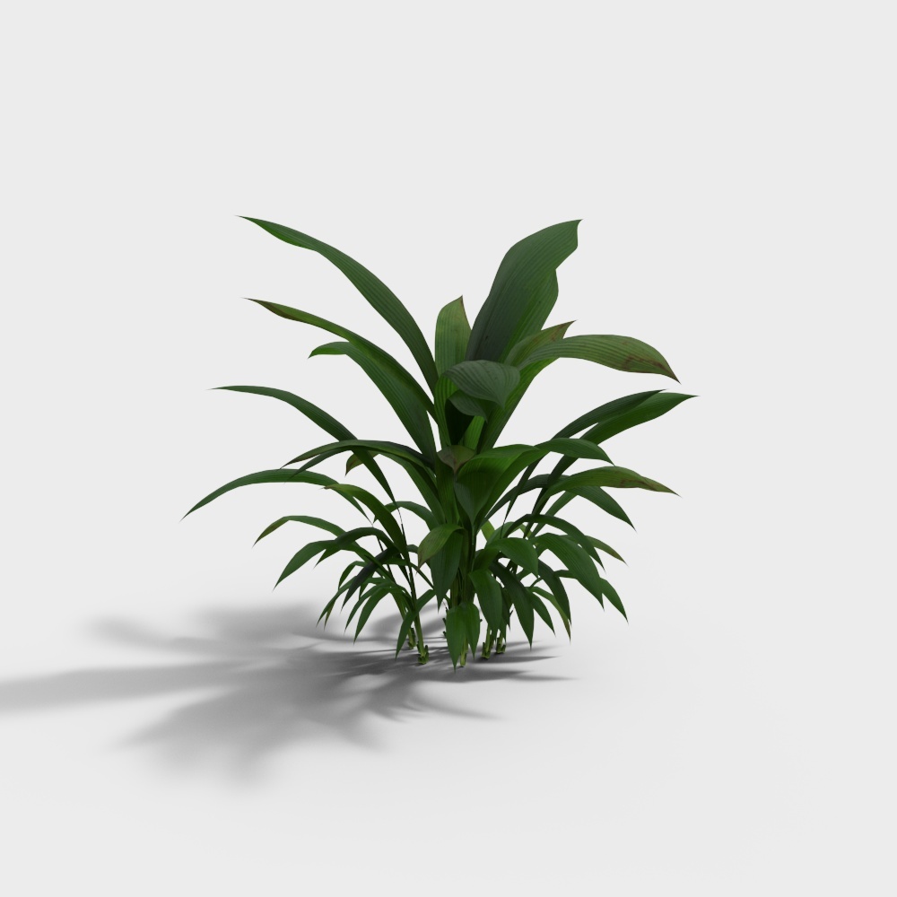 Tropical Plant 3D Model – Low-Poly Greenery