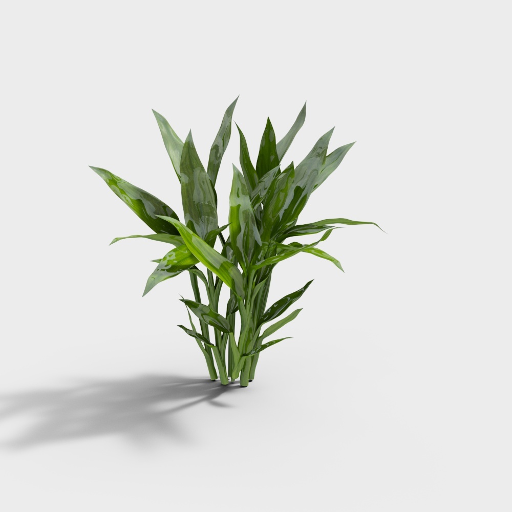 Tropical Style Plant 3D Model – Low-Poly Natural Detail