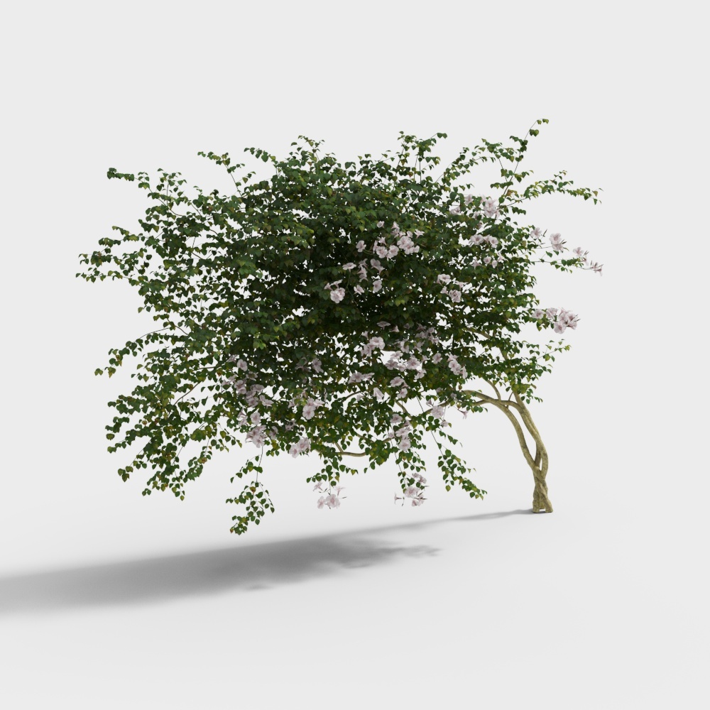 Wall Plant 2-Fine Mold-YJ