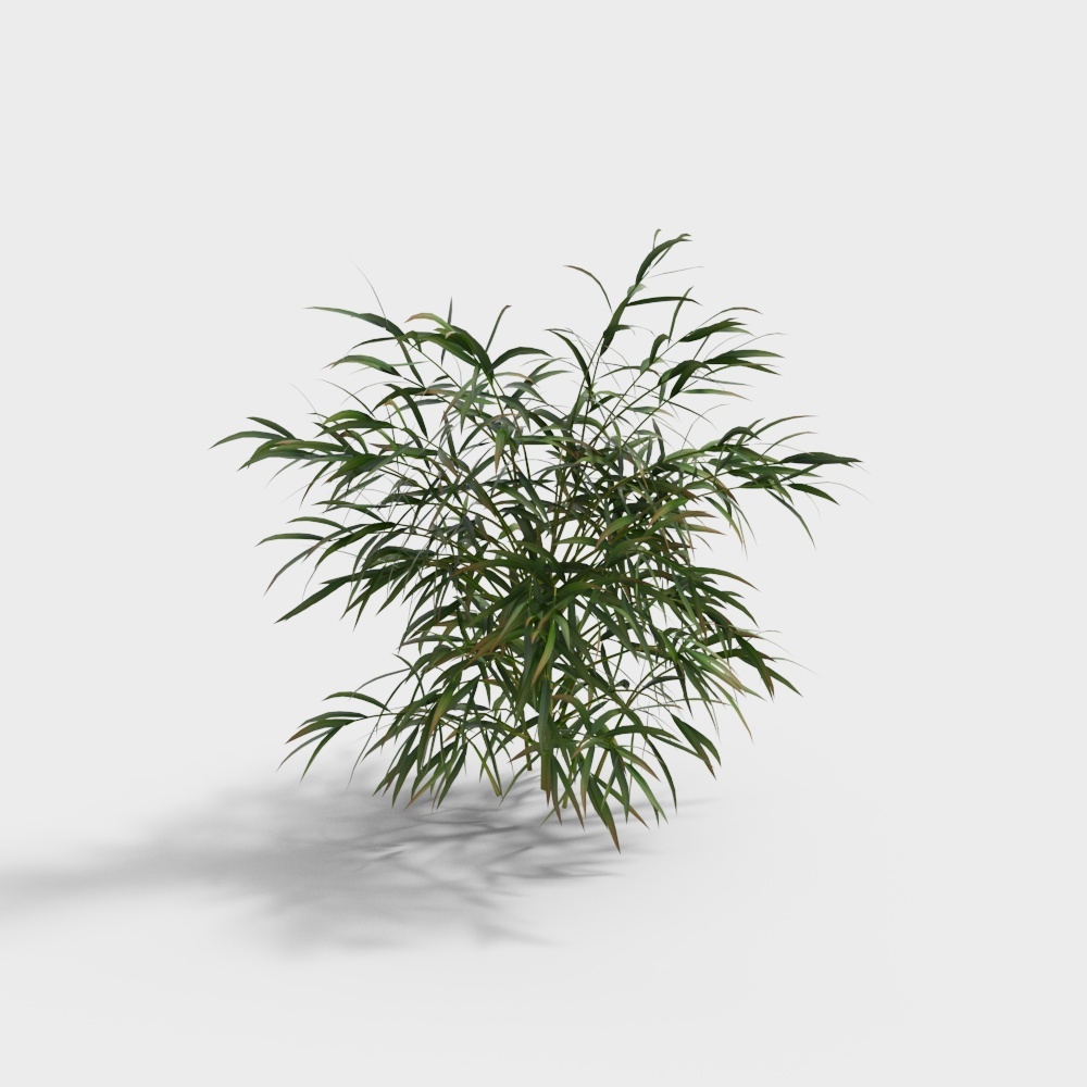 Plantes - Herbe de Bambou 1-YJ