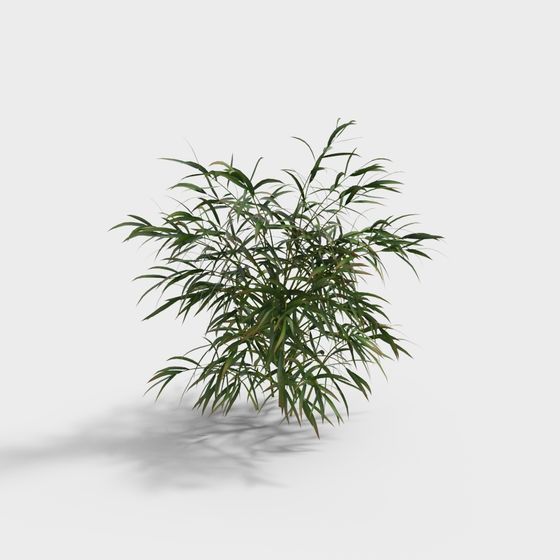 Plantes - Herbe de Bambou 1-YJ