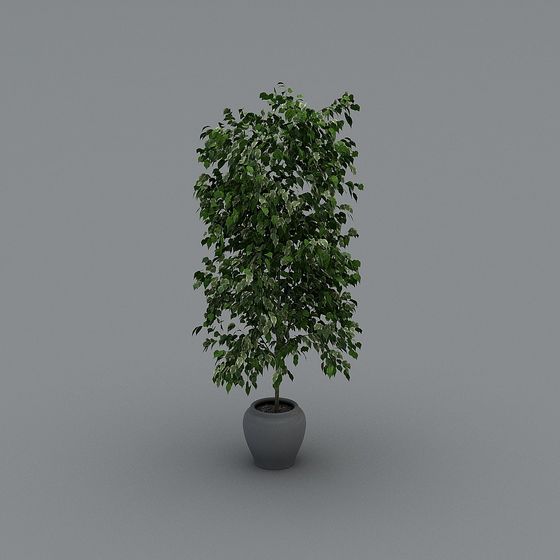 Lush Potted Plant 3D model