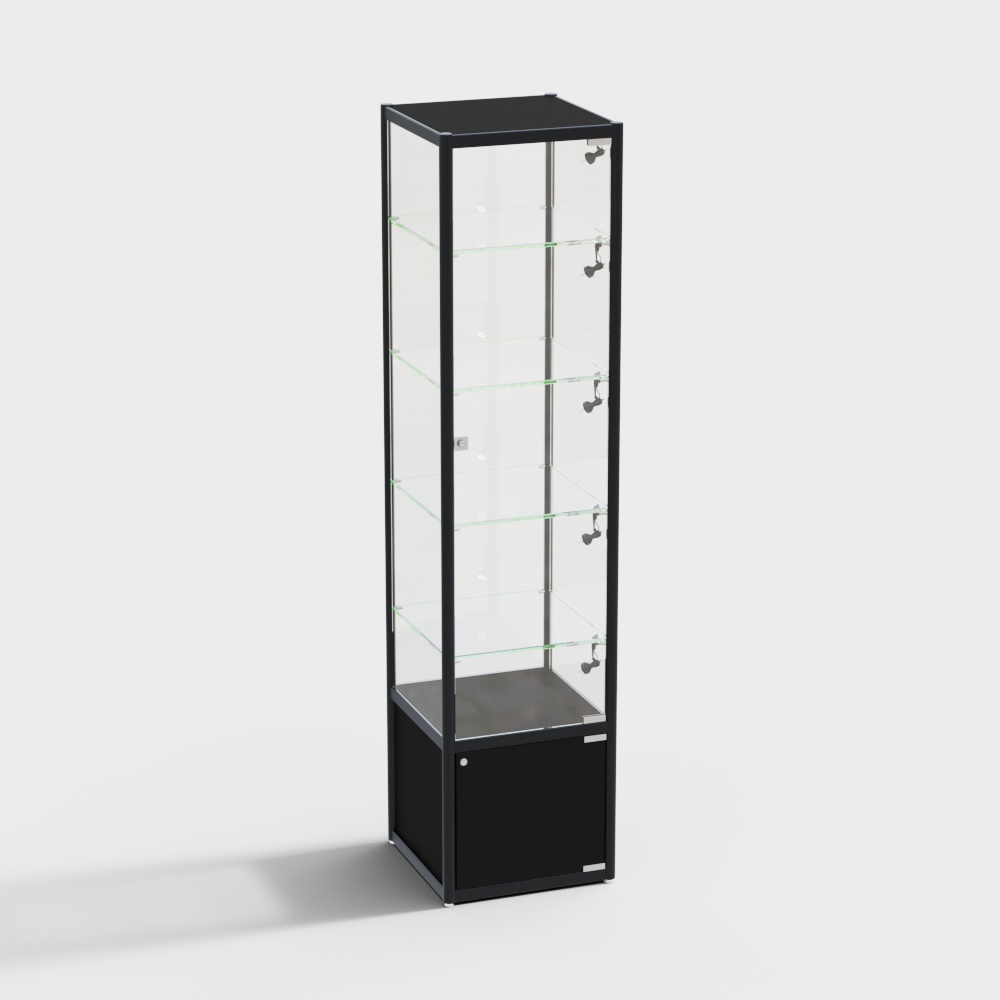 피규어 캐비닛 003