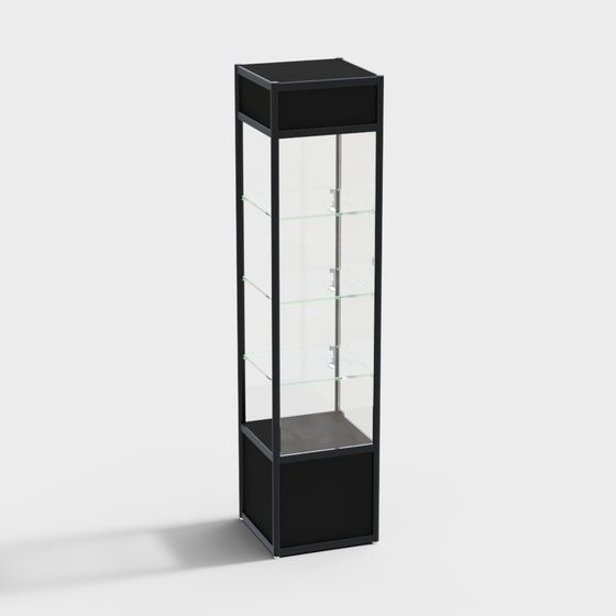Sleek Modern Display Cabinet 3D model