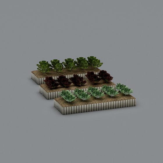 Vegetable Garden 3D Model