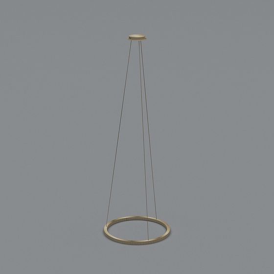 Modern gold metal hanging light fixture with round ring on grey background