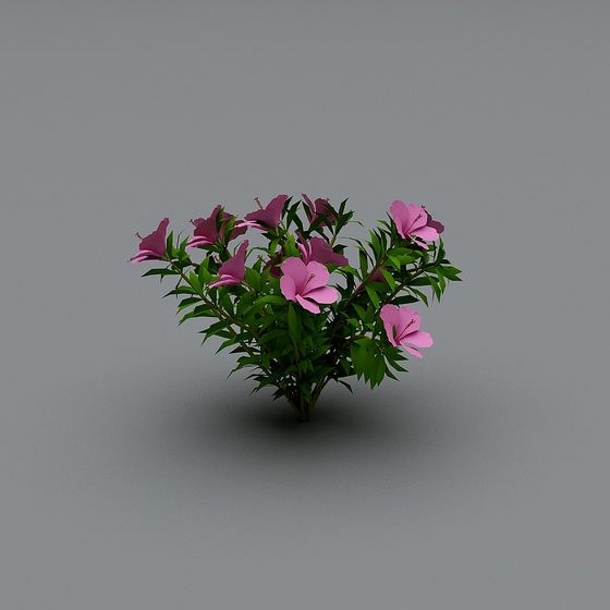 Vibrant Pink Hibiscus Flower 3D Model