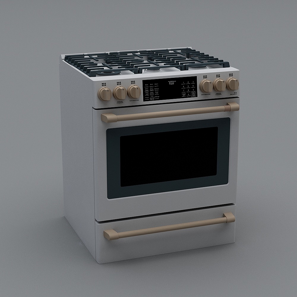 Gas Stove