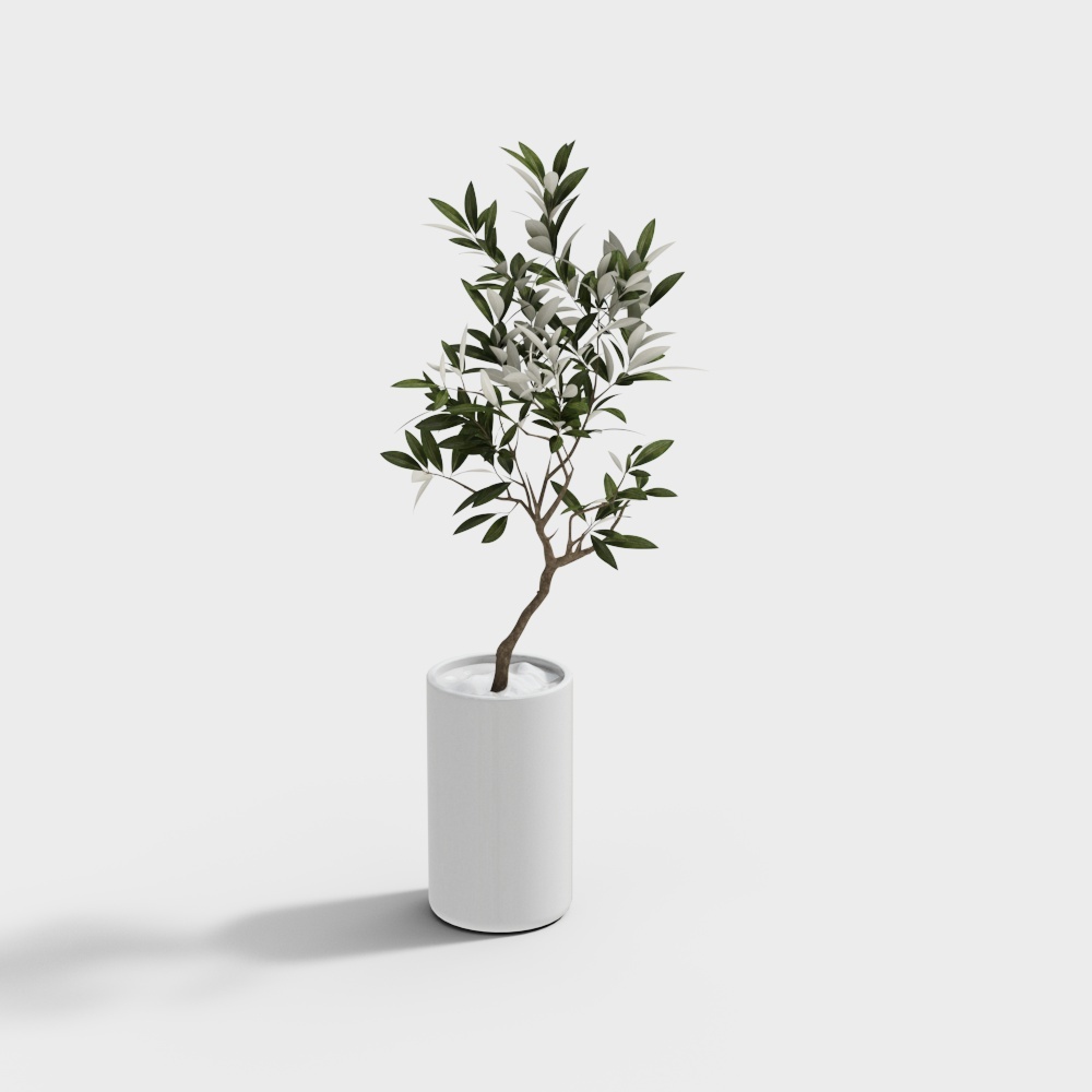 พืชสีเขียว