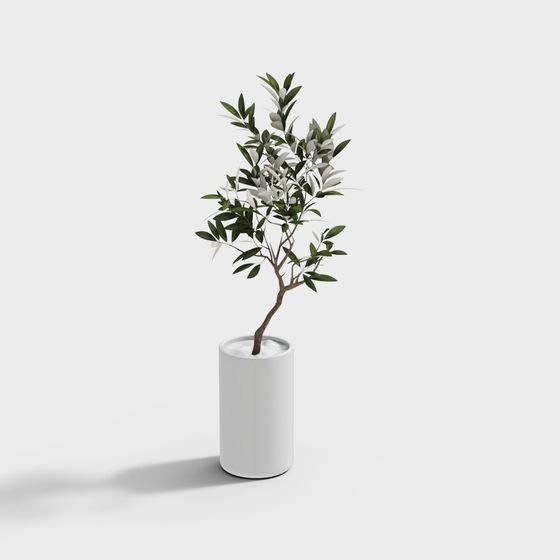 พืชสีเขียว