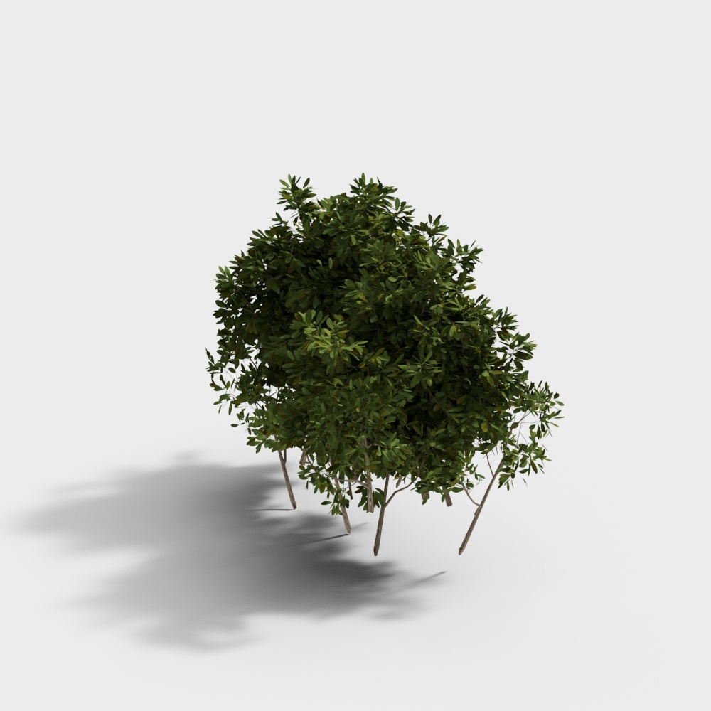 Buisson de plantes vertes - YJ