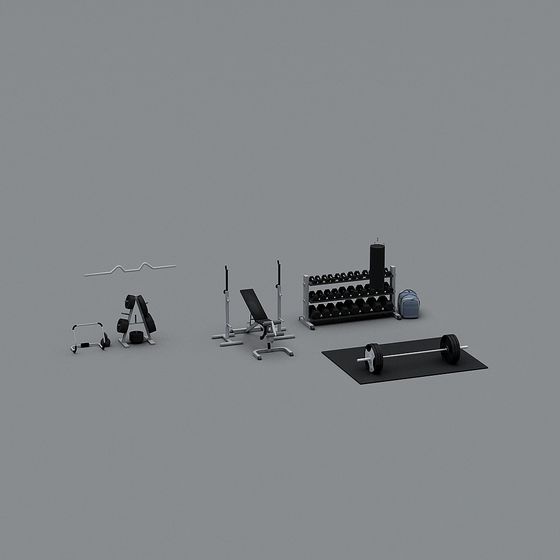 Modern Minimalist Gym 3D model