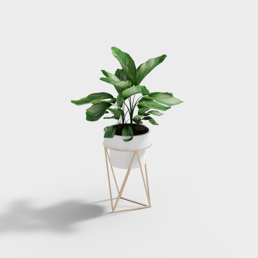 Pot de fleur HB-005-01