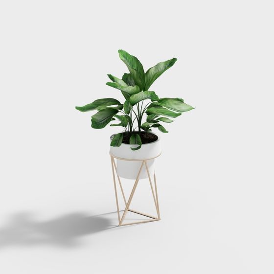 Pot de fleur HB-005-01