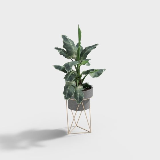 Urban Jungle 3D Model for Creative Spaces