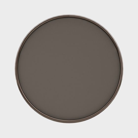 Stylish Minimalist Round Tray 3D model