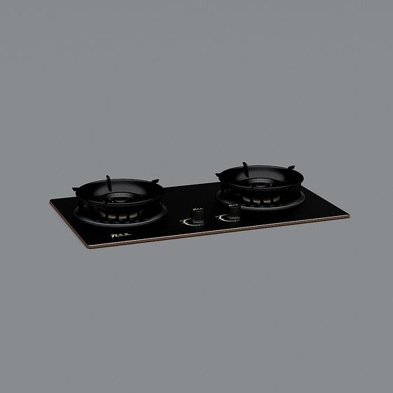 Contemporary Dual Burner Stove 3D Model