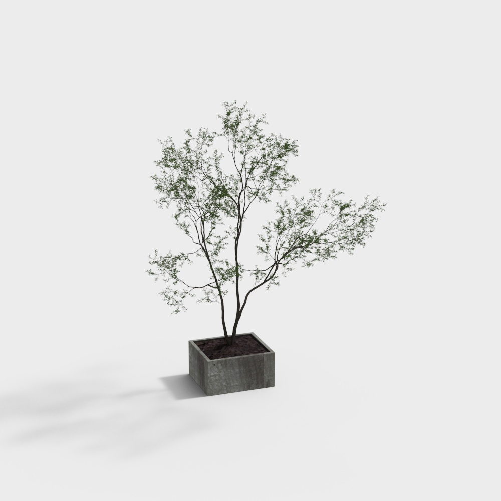 Modern Green Plants 2&mdash;cc