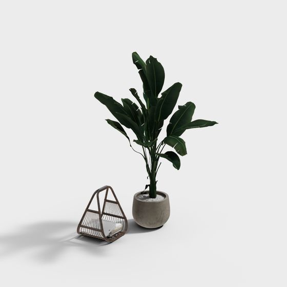 Elegant Indoor Plant with Magazine Rack 3D model