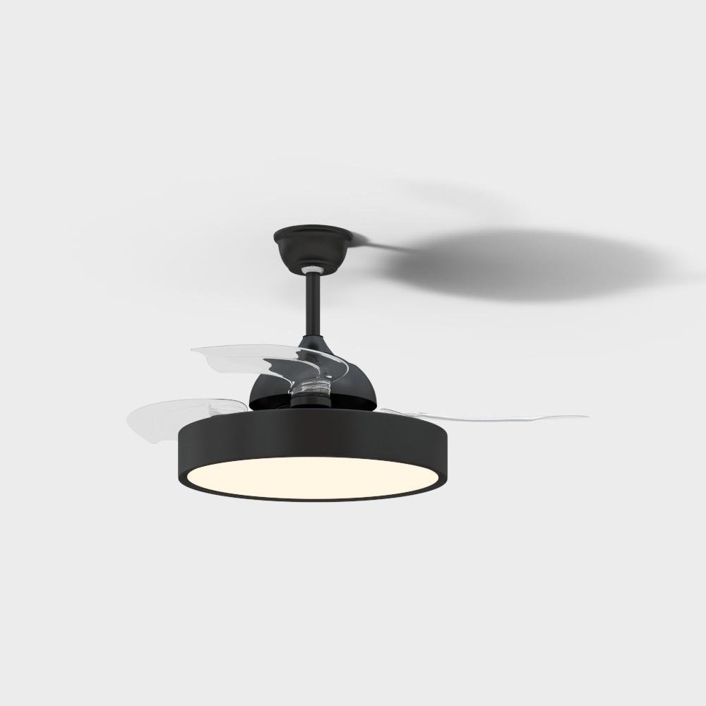 Rex Lighting Fan lights are dumb and black