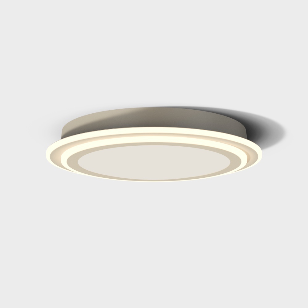 Ceiling light