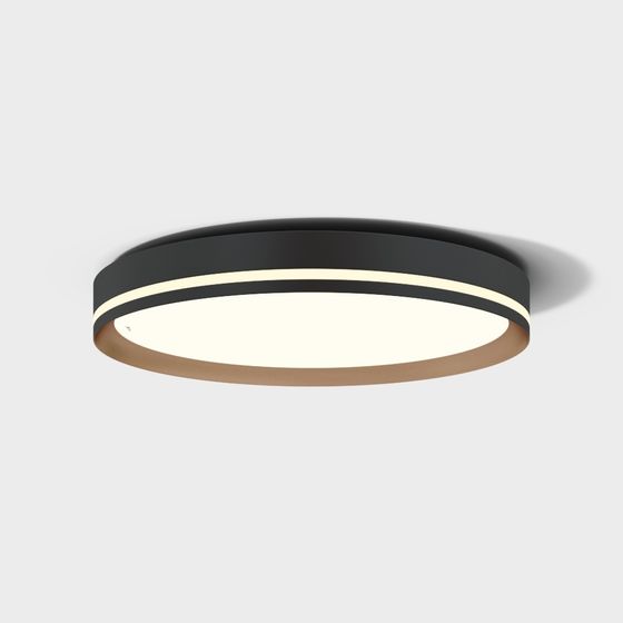 Sleek Ring Pendant Light 3D model