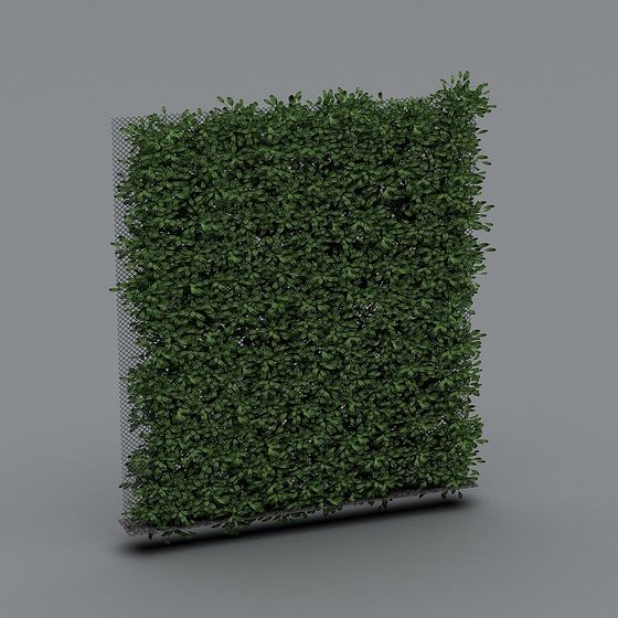 รั้วสีเขียว