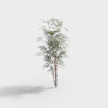 Bamboo fine mold-BS