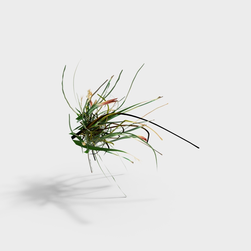Weed 1 Fine Model-BS