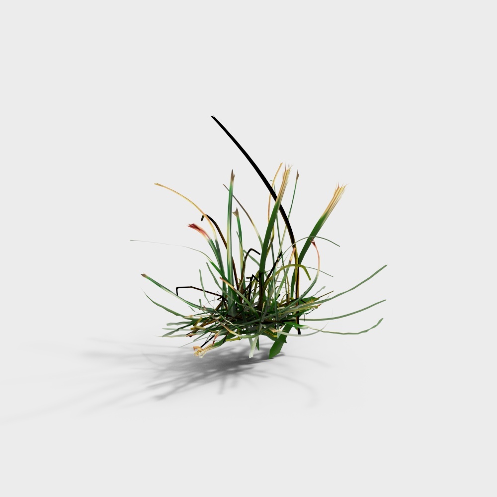 Weed 2 Fine Model-BS