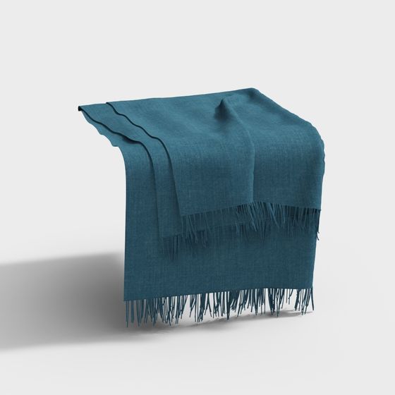 Elegant Tassel Blanket 3D model