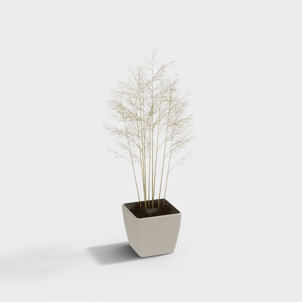 Green Plants BD