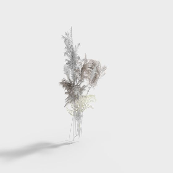 Feather Plant Low-Poly 3D model