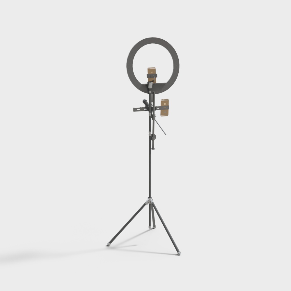 Elegant Ring Light Fixture 3D Model