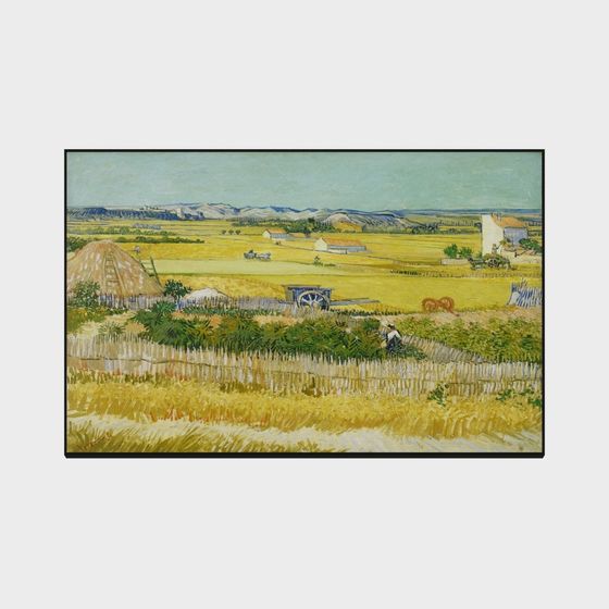 Countryside Landscape 3D Model