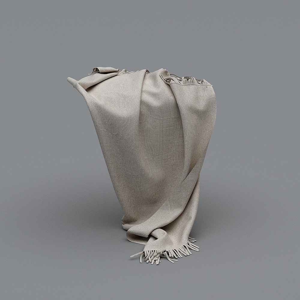 Tassel Blanket 3D model