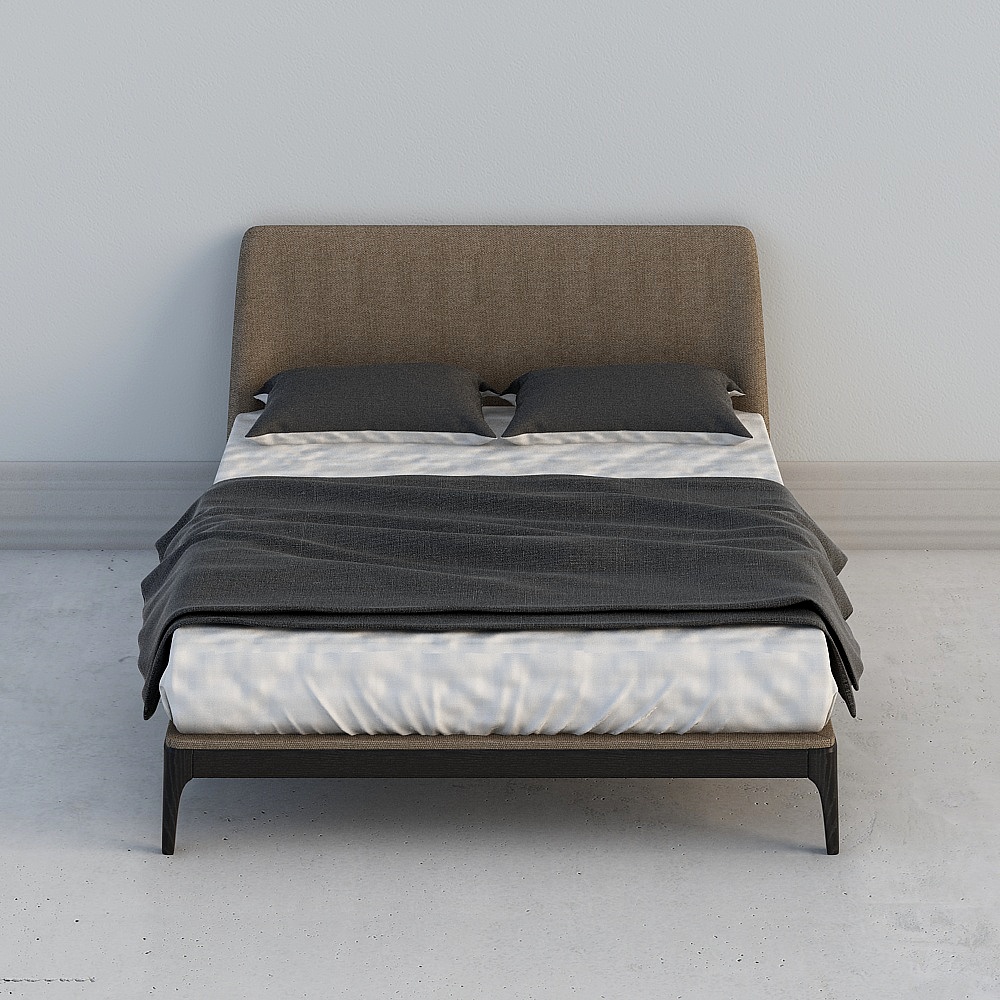 Contemporary Queen Bed