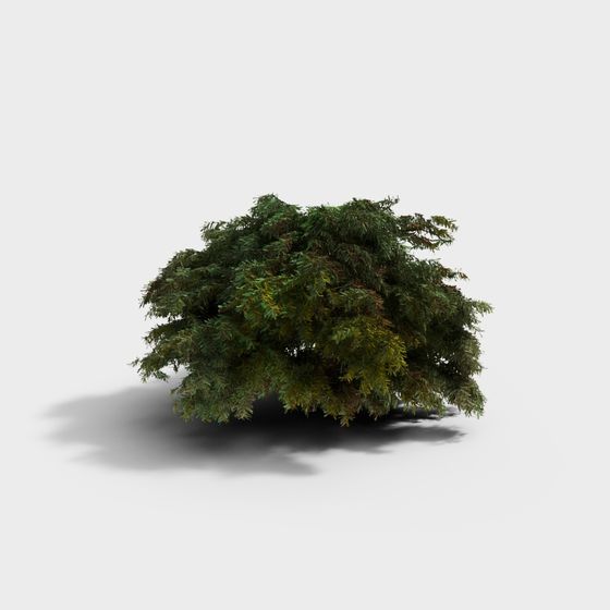 Realistic Low-Poly Pine Tree 3D Model