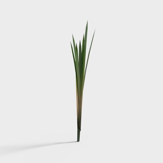 Tall Grass Blade 3D model for Creative Use
