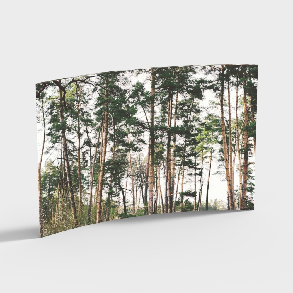 Serene Forest 3D Model - Tranquil Nature Scene