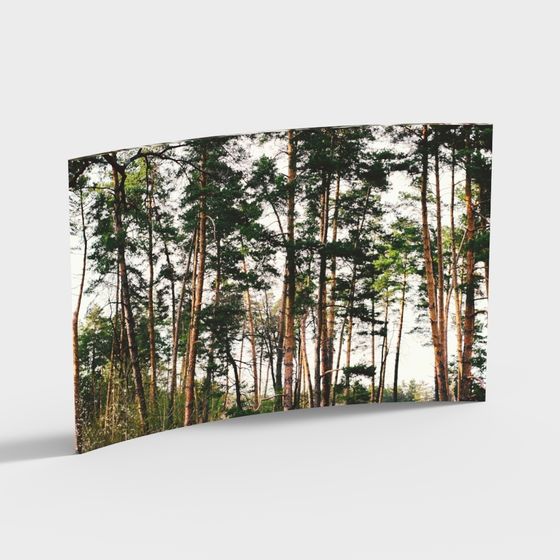 โมเดลภาพสิ่งแวดล้อม