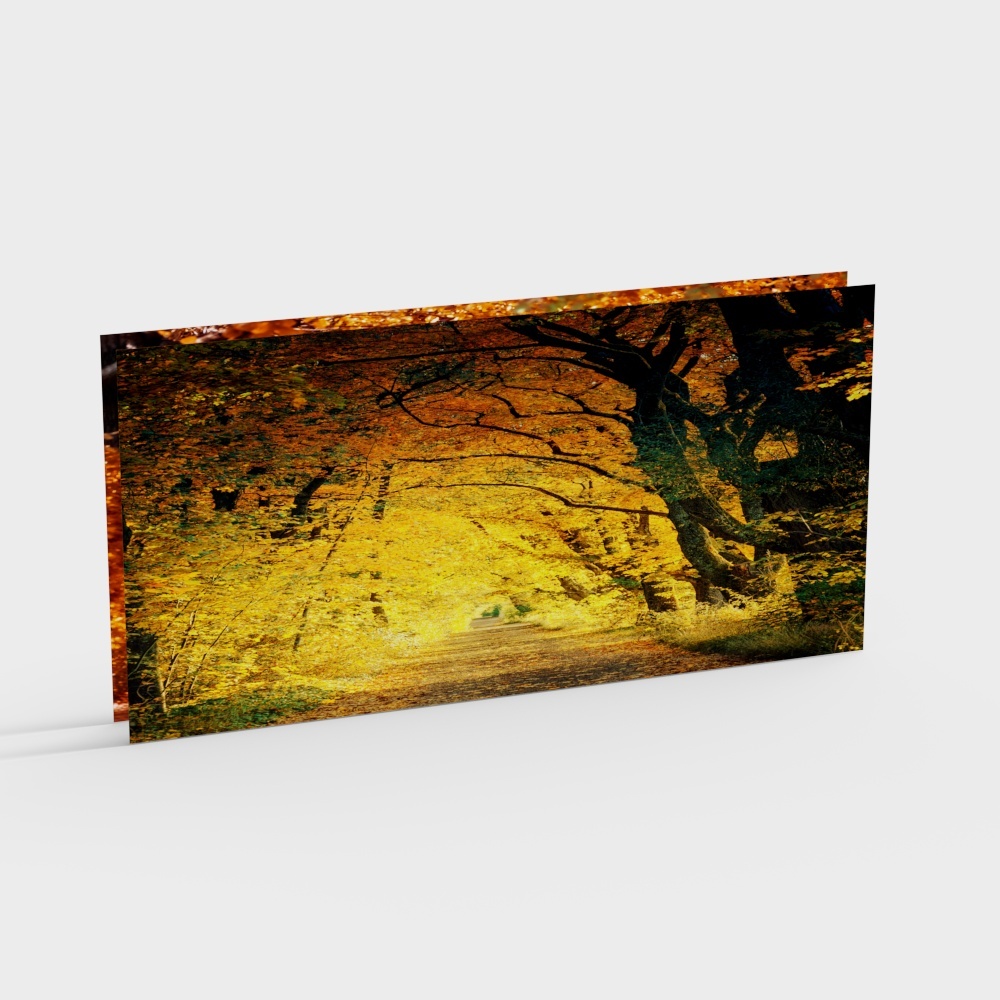 Port de signalisation - Boîte lumineuse