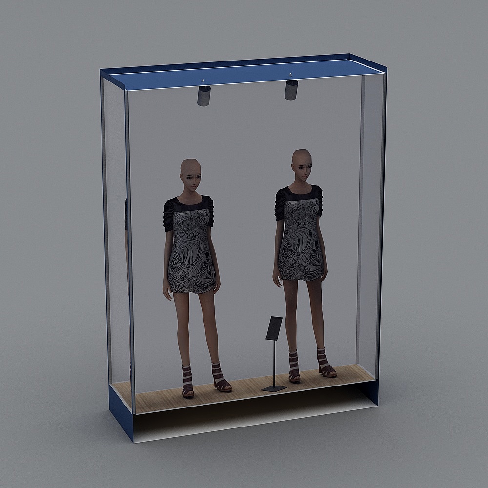 Sleek Mannequin Display Case 3D model