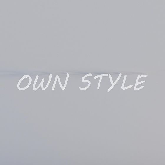 OWN STYLE Low Poly 3D Model