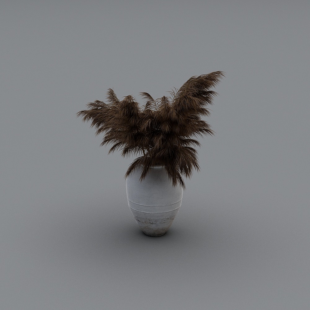 Plants white ceramic vase