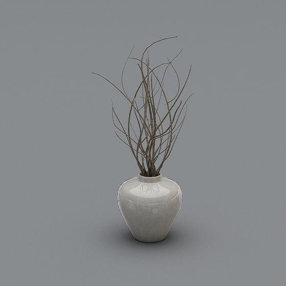 Dried Branch Vase 3D model