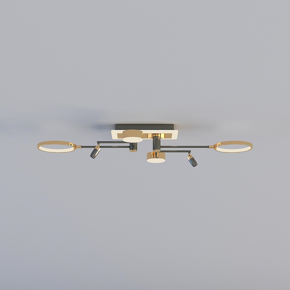 Rex Lighting Modern Simple Ceiling Light